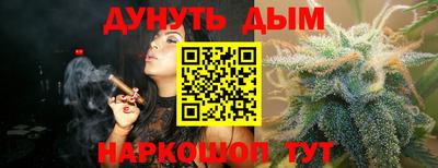 гидропоника Гатчина